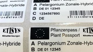 L’utilisation du passeport phytosanitaire avait été élargie fin 2019. ©L. Hespel L’utilisation du passeport phytosanitaire avait été élargie fin 2019. ©L. Hespel